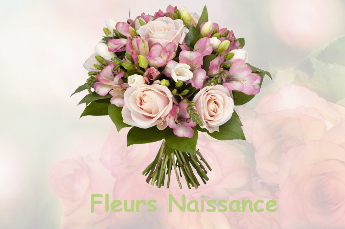 fleurs naissance LA-CROIX-AUX-MINES